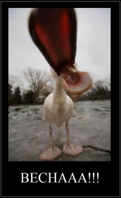 Прикрепленное изображение: 364.jpg